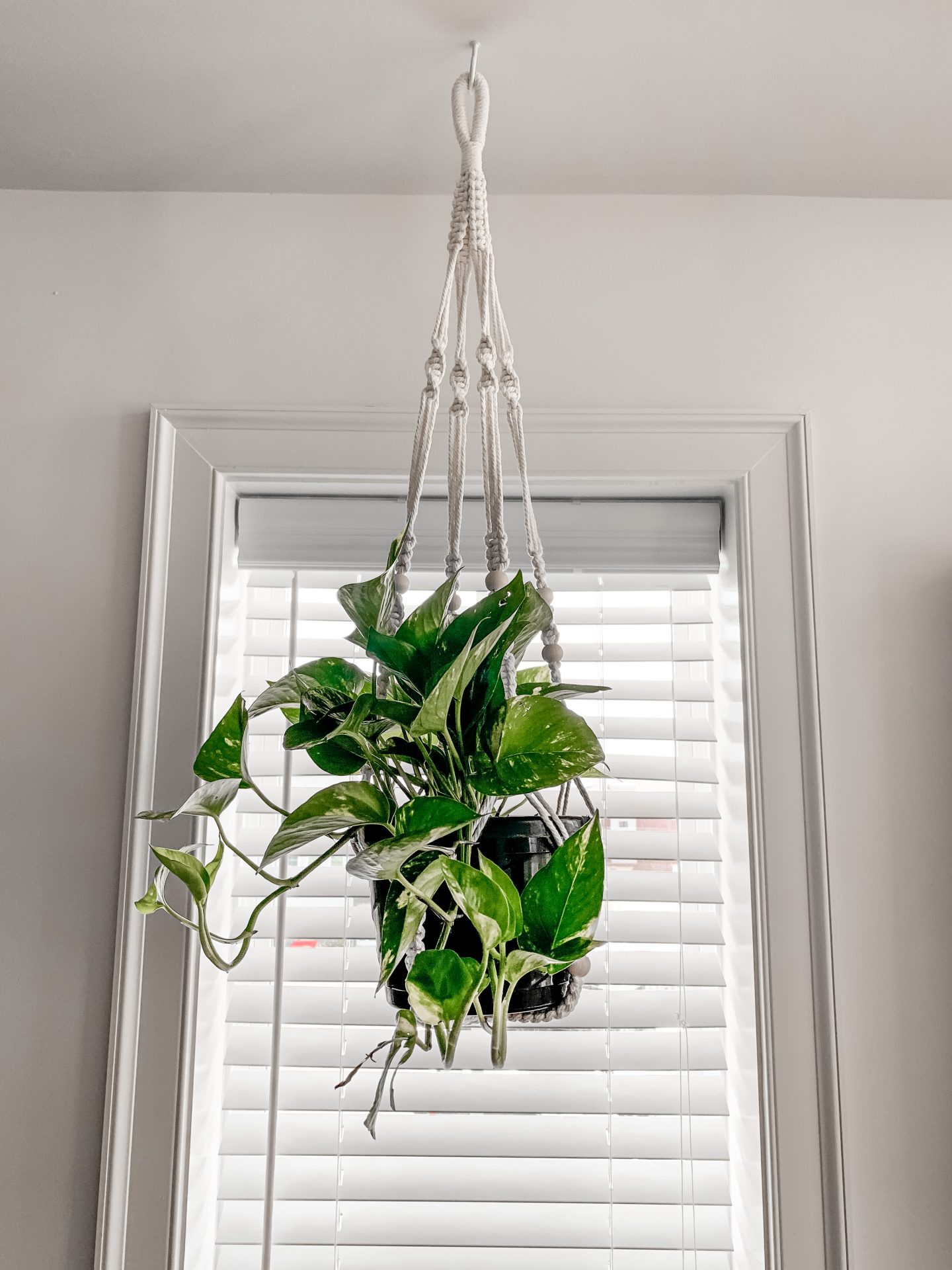 Macrame Hanging Planter with Beads | Best House Plants from Amazon | Kat Viana