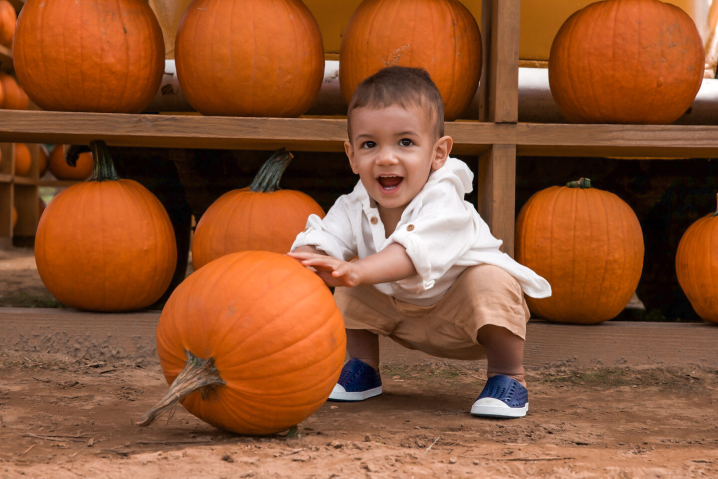 50+ Kid Friendly Fall Activities | Kat Viana