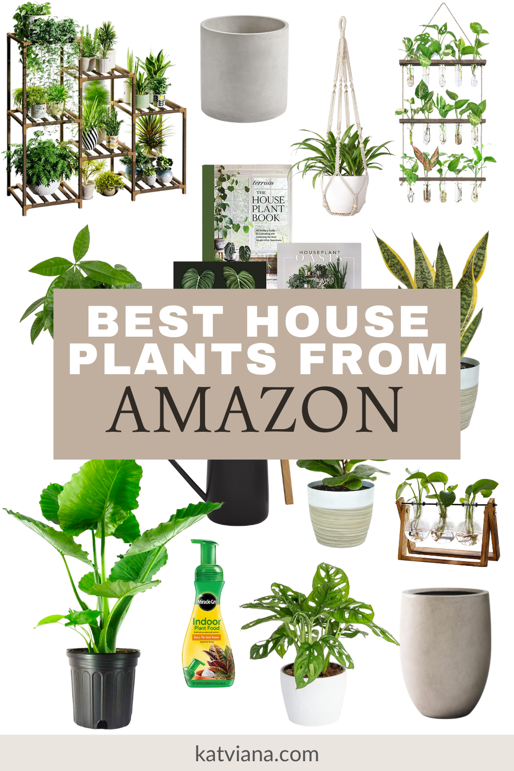 best house plants from amazon